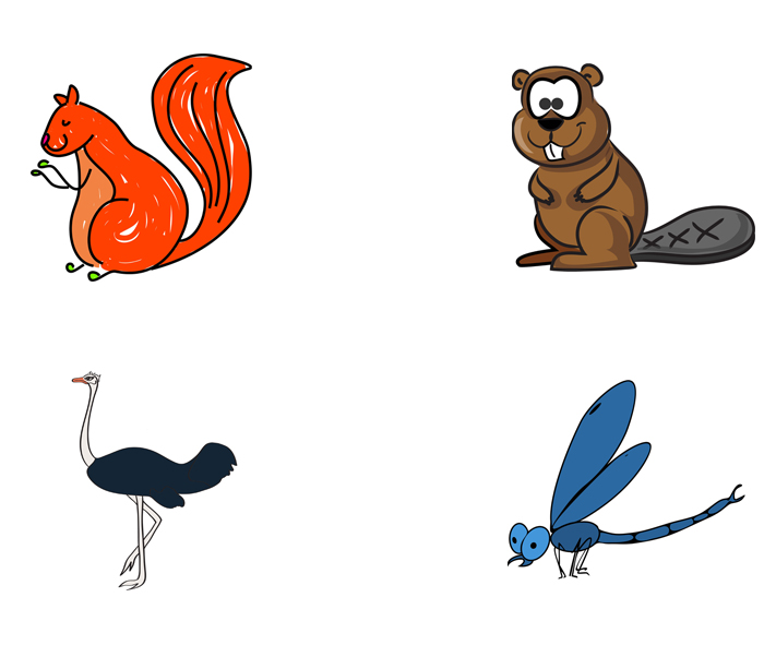 Squirrel, beaver, ostrich, dragonfly