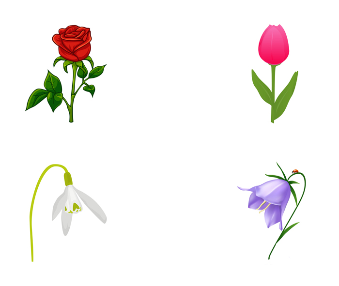 rose, tulip, snowdrop, bellflower